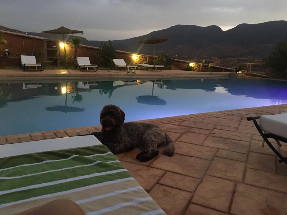 Hotel Palais D'Ouzoud Azilal Esterno foto